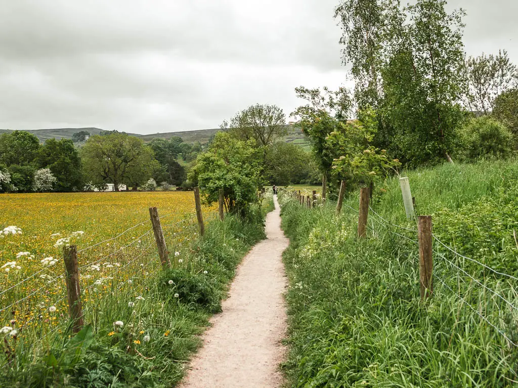 A path leading straight ahead, lined with a wire fence, and tall green grass. There os a field over the left fence, which is filled with yellow flowers.