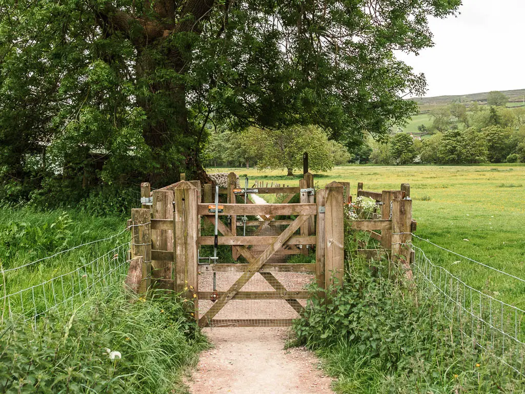 The path leading to two wooden gates. there is a big tree on the left, overhanging the gates. 