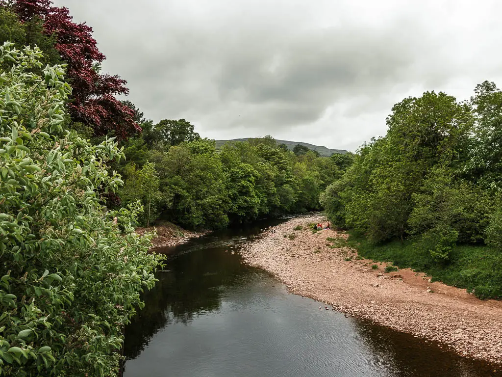 Looking along the river, lined with green leafy trees, and a stoney bank, on the circular walk from Reeth.