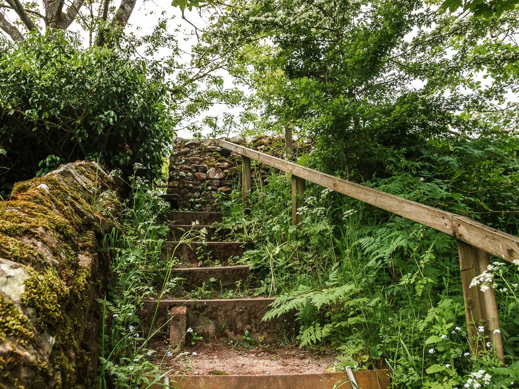 Rugged steps leading up, with a moss covered stone wall on the left and a wooden railing on the right. The steps are lined with overgrown green plants.