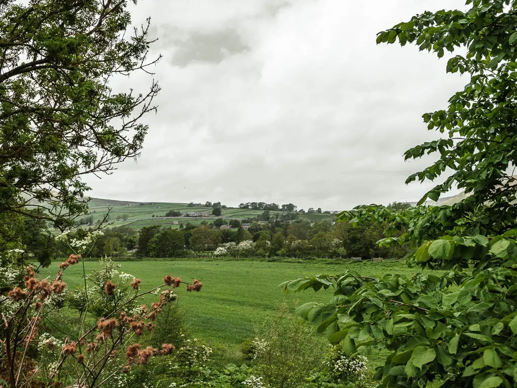 Looking through a gap in the trees to a large field, with trees on the other side.