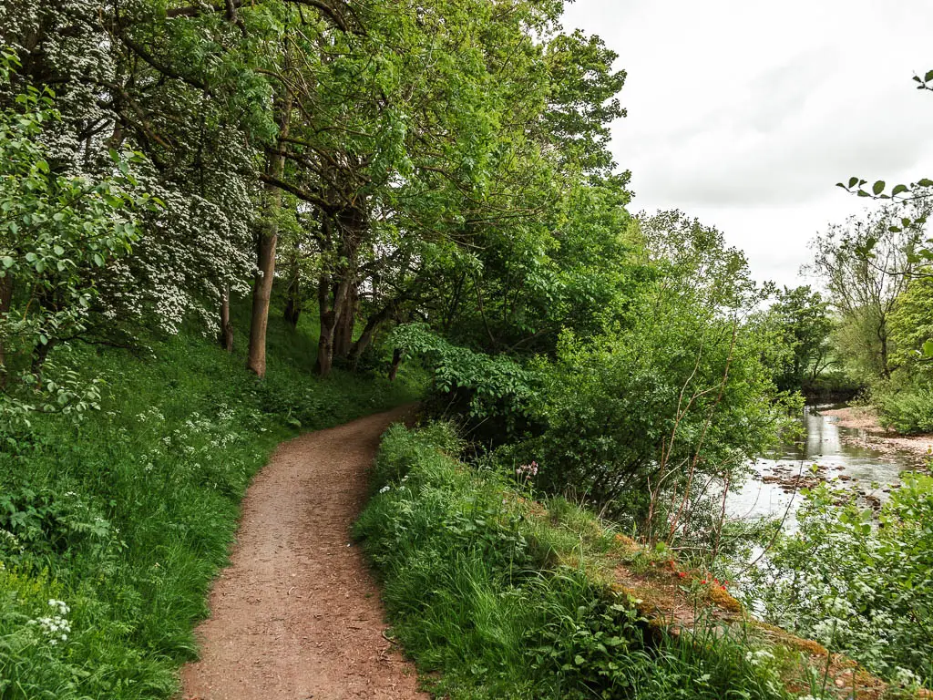 A dirt trail on the left, lined with green grass, and trees, with the river to the right, on the walk back to Reeth.