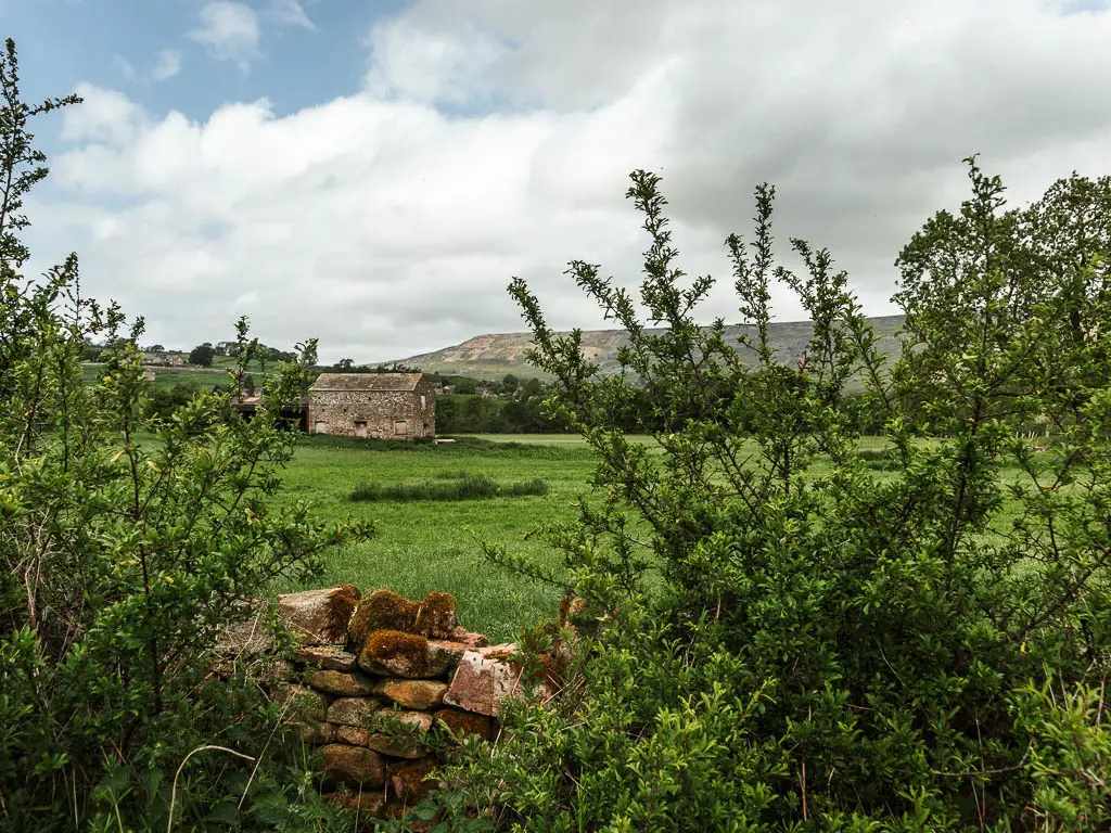 Looking through a gap in the bushes, and over the stone wall, to a green grass field with a stone shed on the other side.