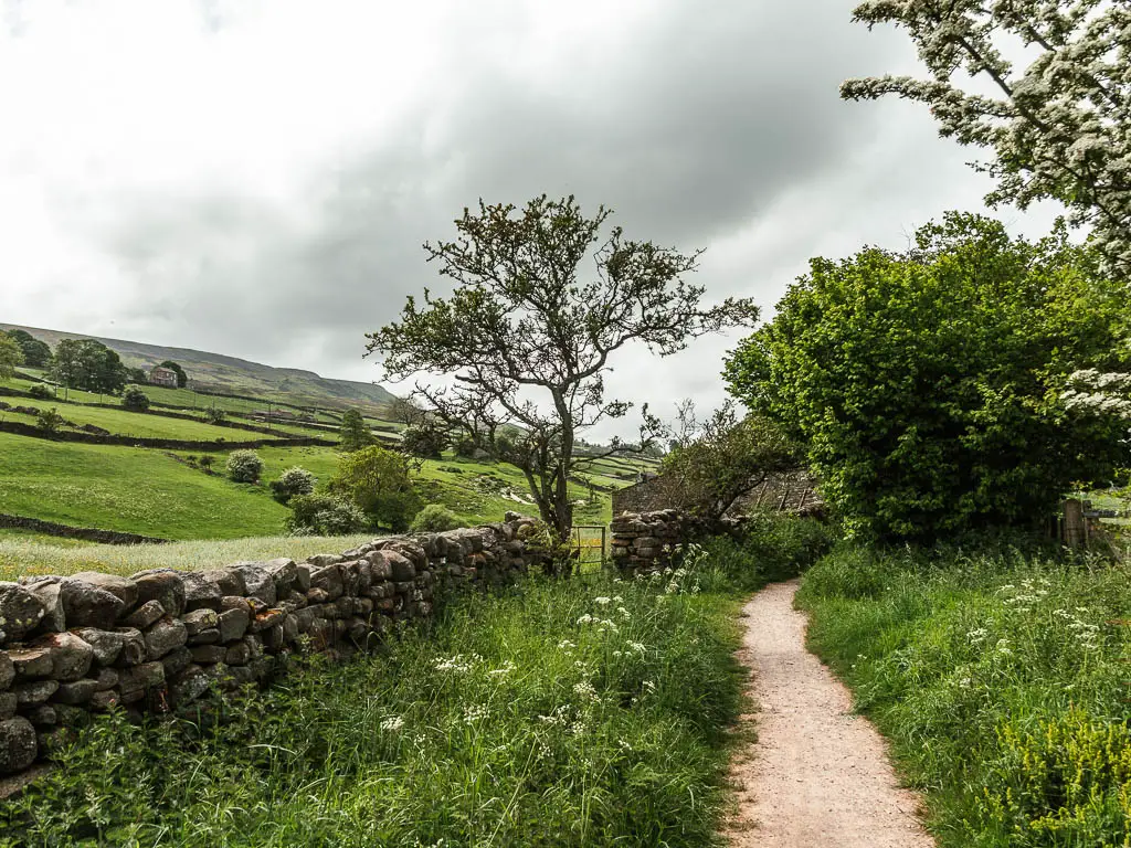 A trail on the right, lined with tall grass and green pants. There is a stone wall on the left, and green grass hills rising up on the other side.