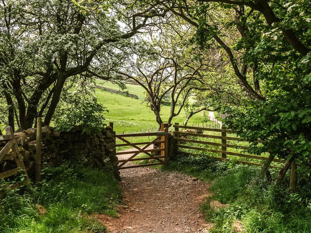 The dirt path leading to a wooden gate in the stone wall. The path leads from under the trees and out to the open on the other side of the fence. 