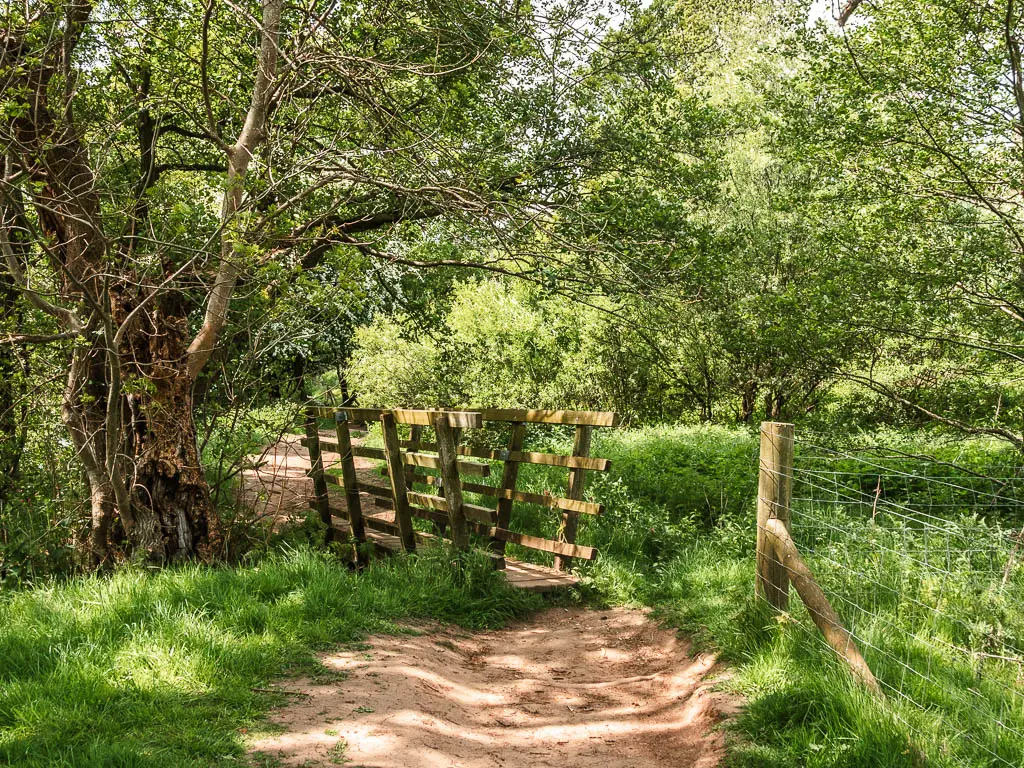 The dirt trail leading to a small wooden bridge. 