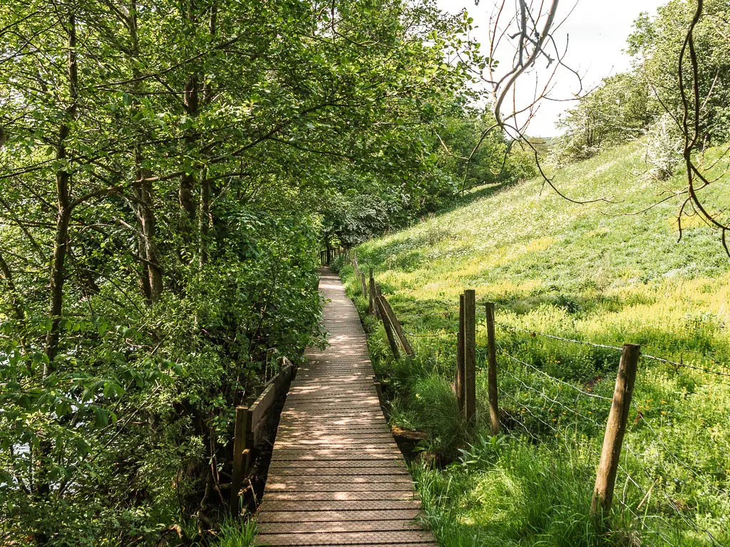 A wooden plank walkway, with bushes and trees to the left, and a grass uphill to the right.