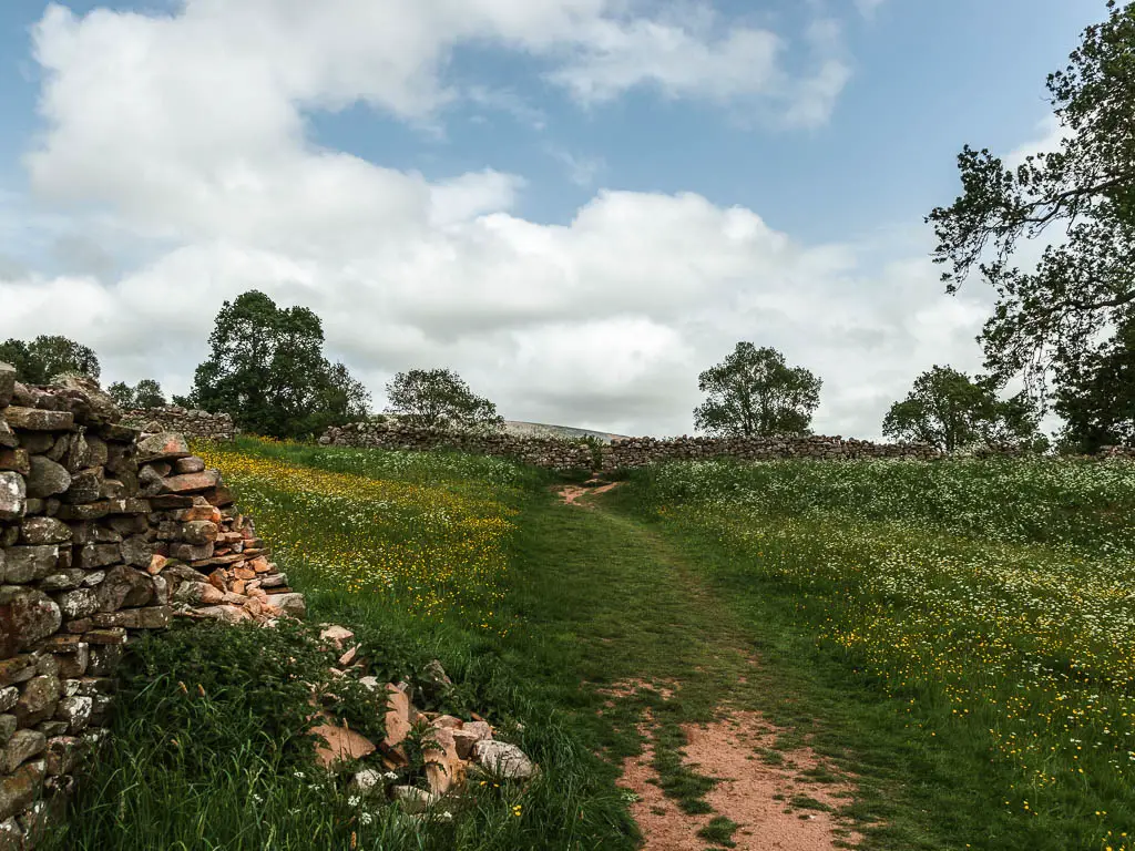 A wide grass trail leading to a stone wall.