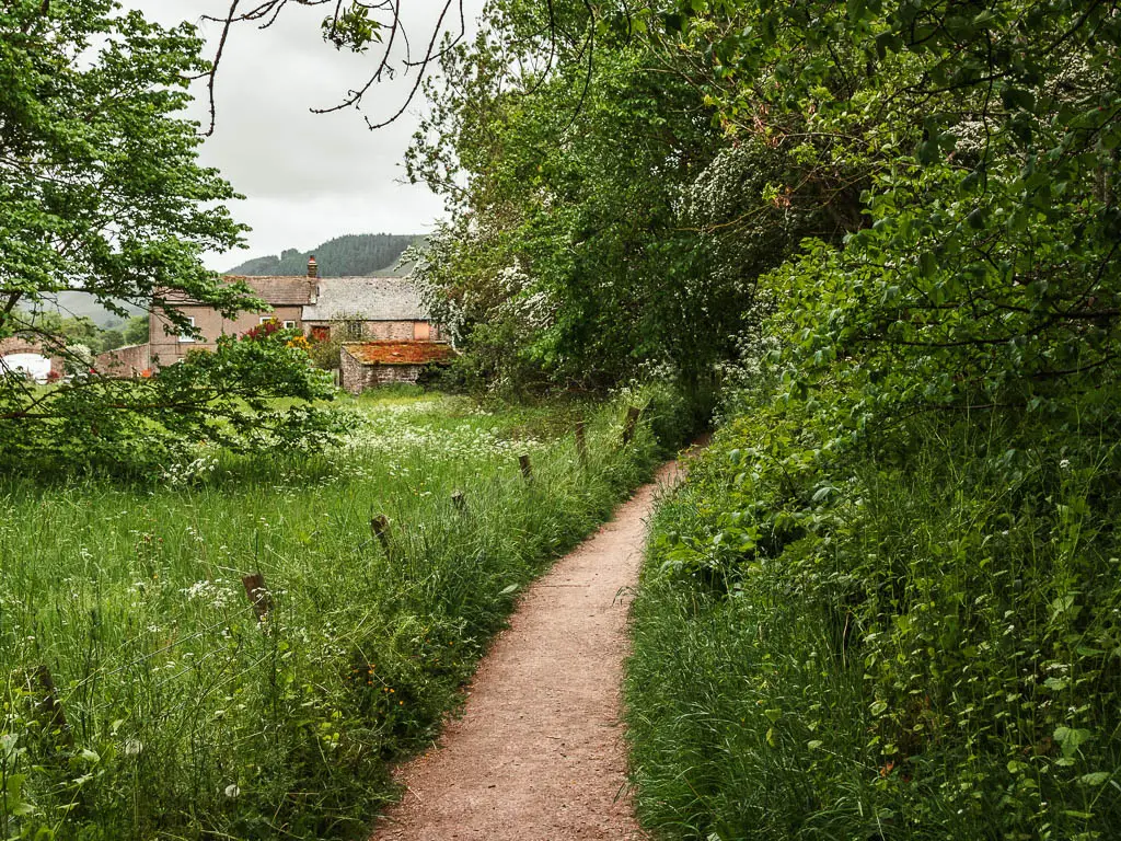 A trail lined with overgrown grass and bushes. There are some cottages ahead to the left.