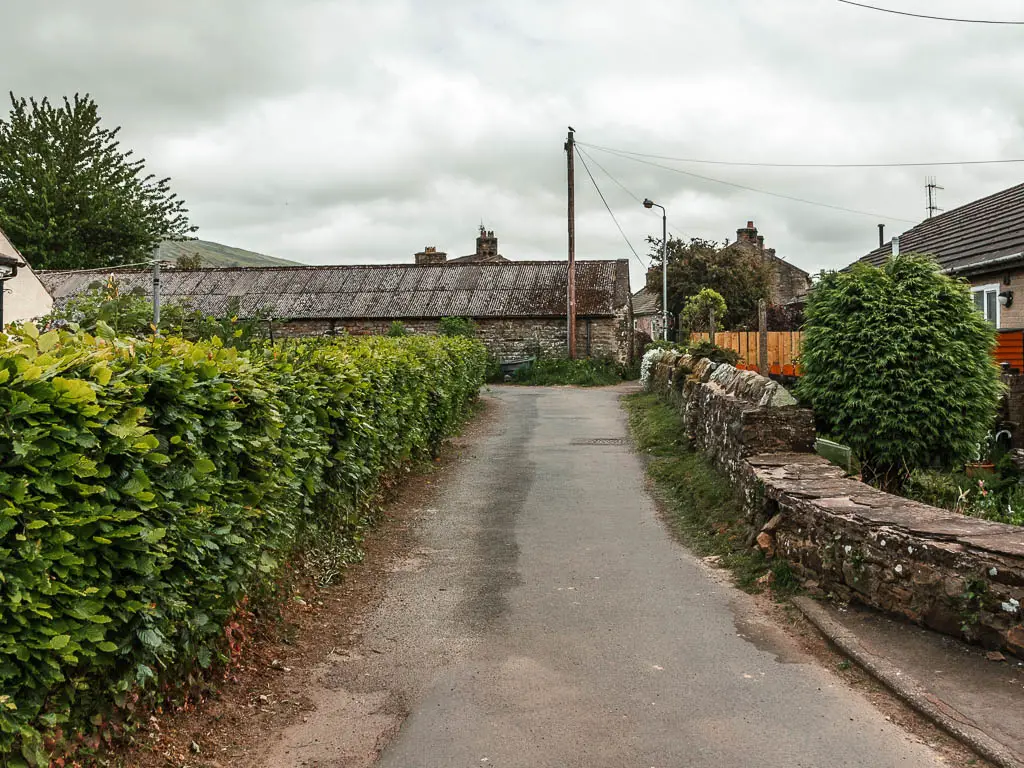 A residential road, with a green leafed hedge to the left, and stone wall to the right. There are houses to the right of the stone wall. There is a big shed building ahead.