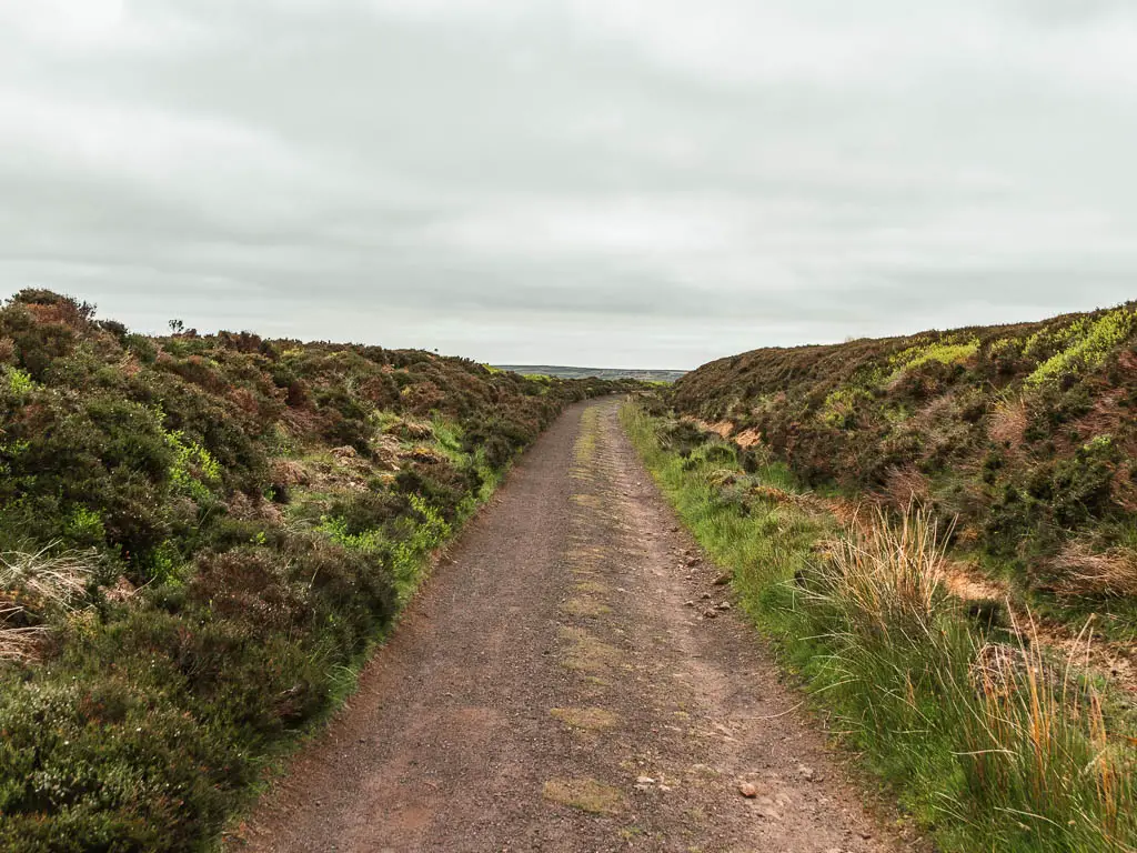 The Rosedale Railway path leading straight ahead, lined with moorland banks.