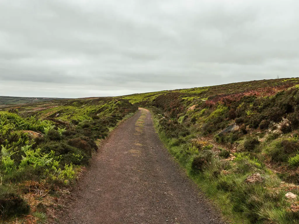 The Rosedale Railway path leading straight ahead, lined with heather moorland, in the second half of the walk.