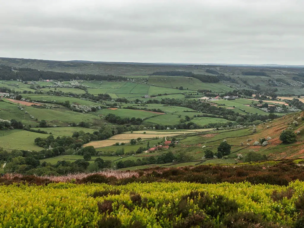 Looking down into the valley with patchwork fields of green and yellow, lined with trees, on the walk towards Blakey Ridge from Rosedale Abbey.