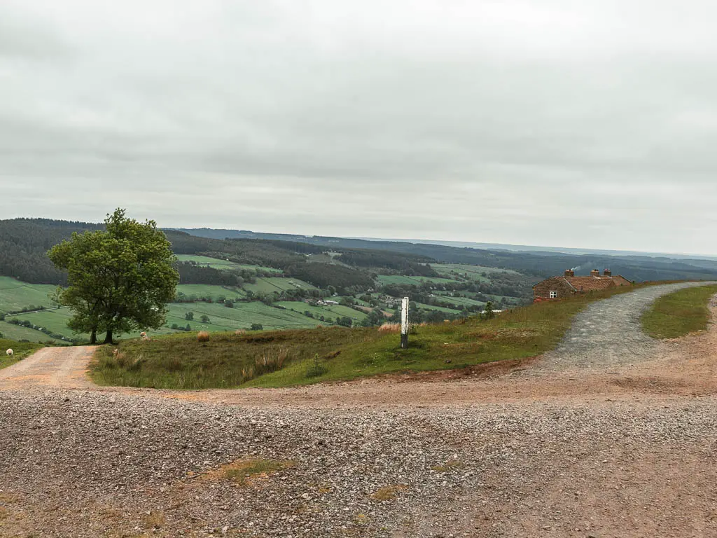 A gravel road junction, with a patch of grass in the junction, and a big tree down the road to the left.