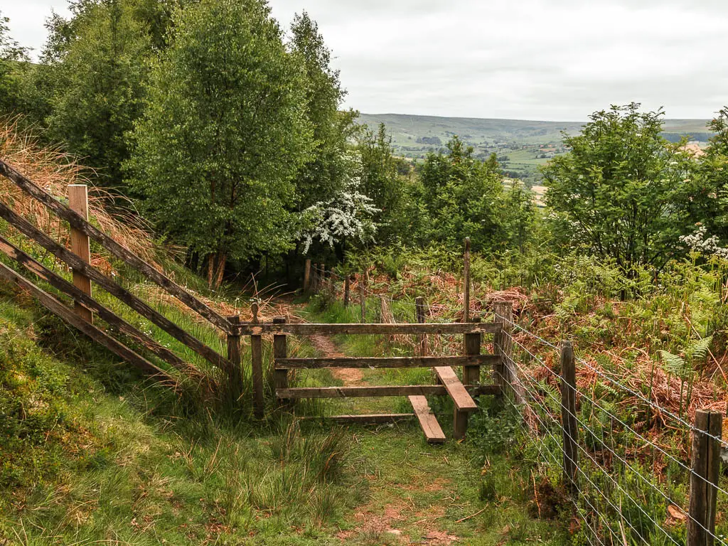 A stile and wooden fence, with a hill rising up to the left, and wire fence to the right. There is a mass of plants to the right side of the fence, and masses of trees ahead.