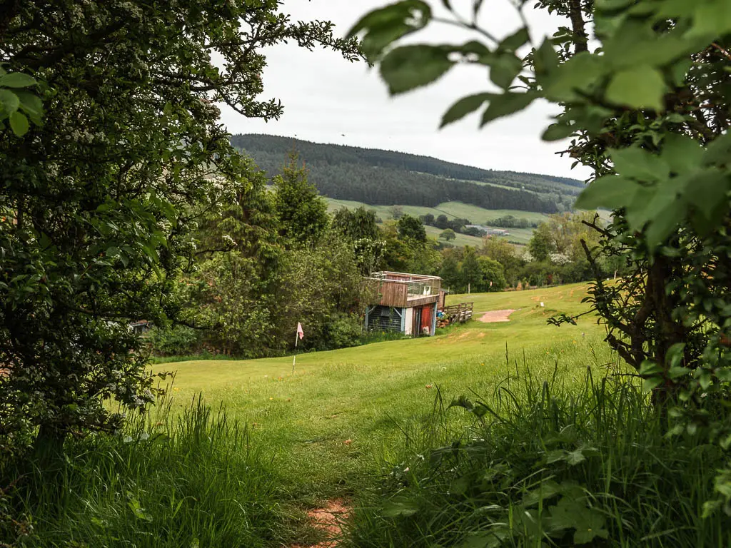 Looking through a gap in the leafy bushes to the green on a gold course, with a hut type building on the other side of the green.