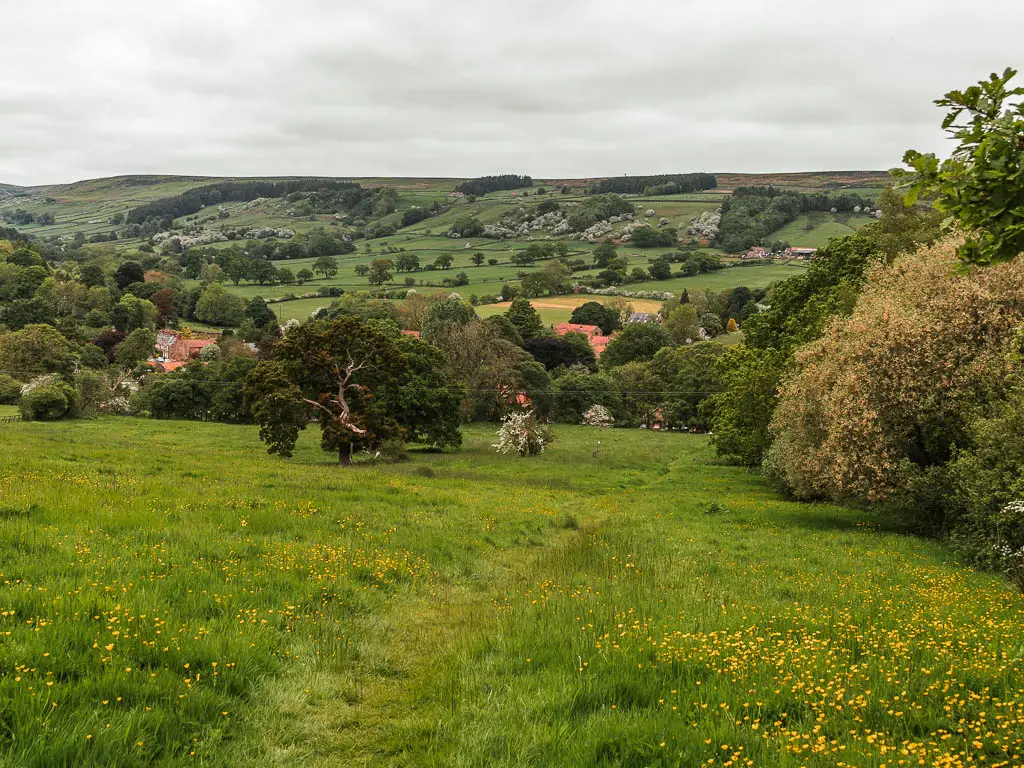 Looking down a large grass field, with lots of trees at the bottom, and a hill rising up on the other side, on the walk back down into Rosedale Abbey.