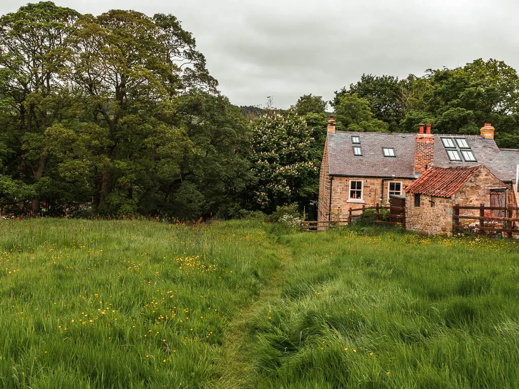 A gras trail through the unkept messy grass, leading towards a stone walled cottage, and masses of green leafy trees on the other side.