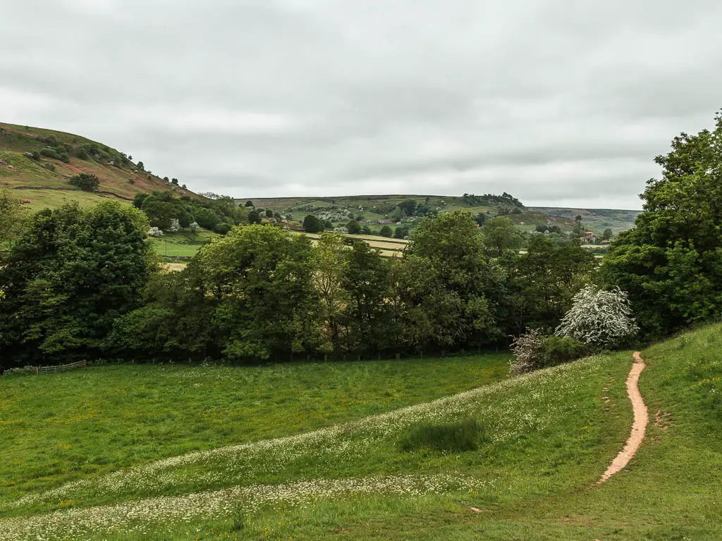 A large grass undulating field, with a thin trail along the right edge, and trees lining the other side, partway through the circular walk from Rosedale Abbey. There is a hill in the distance to the left.