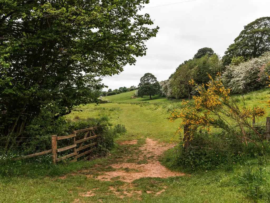 A patch of dirt ground in the middle of an opening in the fence, leading to a large grass field on the other side. There are trees on both side, and trees in the distance.