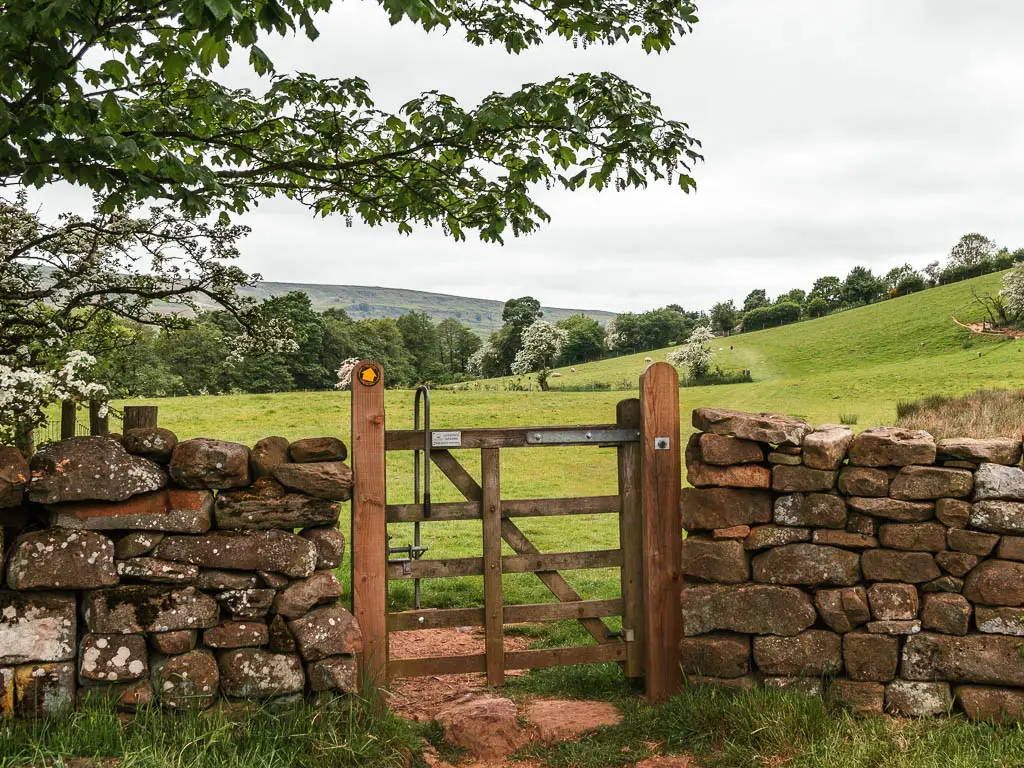 A wooden gate in a stone wall, with a large grass field on the other side.