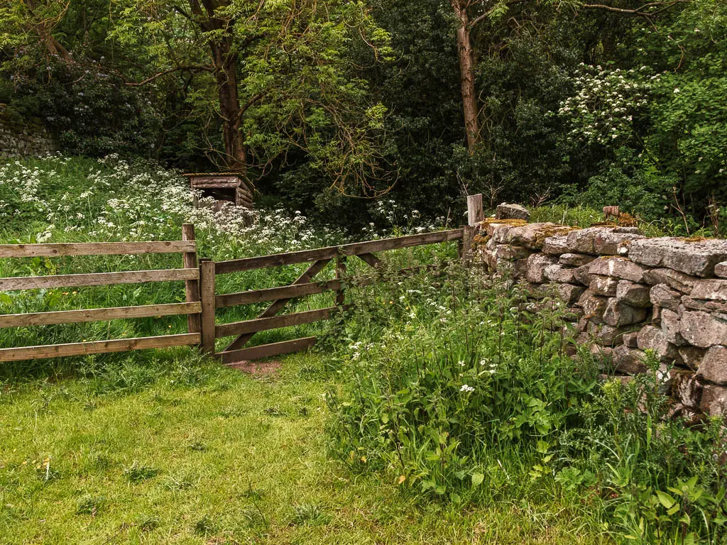 A grassy area with a wooden gate ahead. The gate has a wooden fence to the left, and stone wall to the right. There is lots of greenery and trees on the other side of the gate.