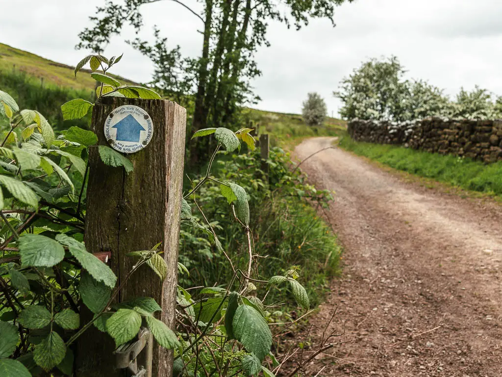 A wooden post surrounded by green leaves on the left side of a gravel dirt path, on the circular walk from Rosedale Abbey. There is a blue arrow on the post pointing straight ahead.