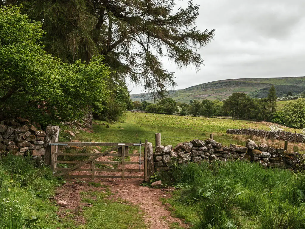 The dirt path leading to a wooden gate in a stone wall. There is a grass field on the other side of the wall, and trees and bushes along the left side of the field.