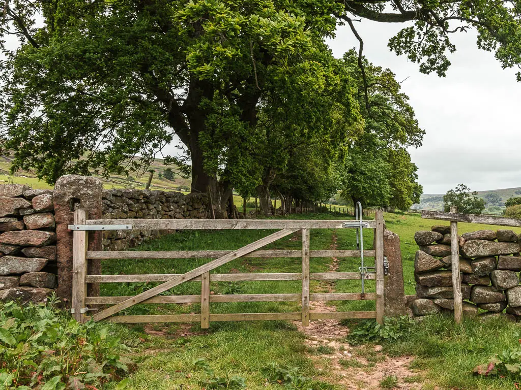 A wooden gate in the stone wall, with a grass field on the other side. There is a stone wall along the left side of the field. There is a big tree further along by the stone wall.