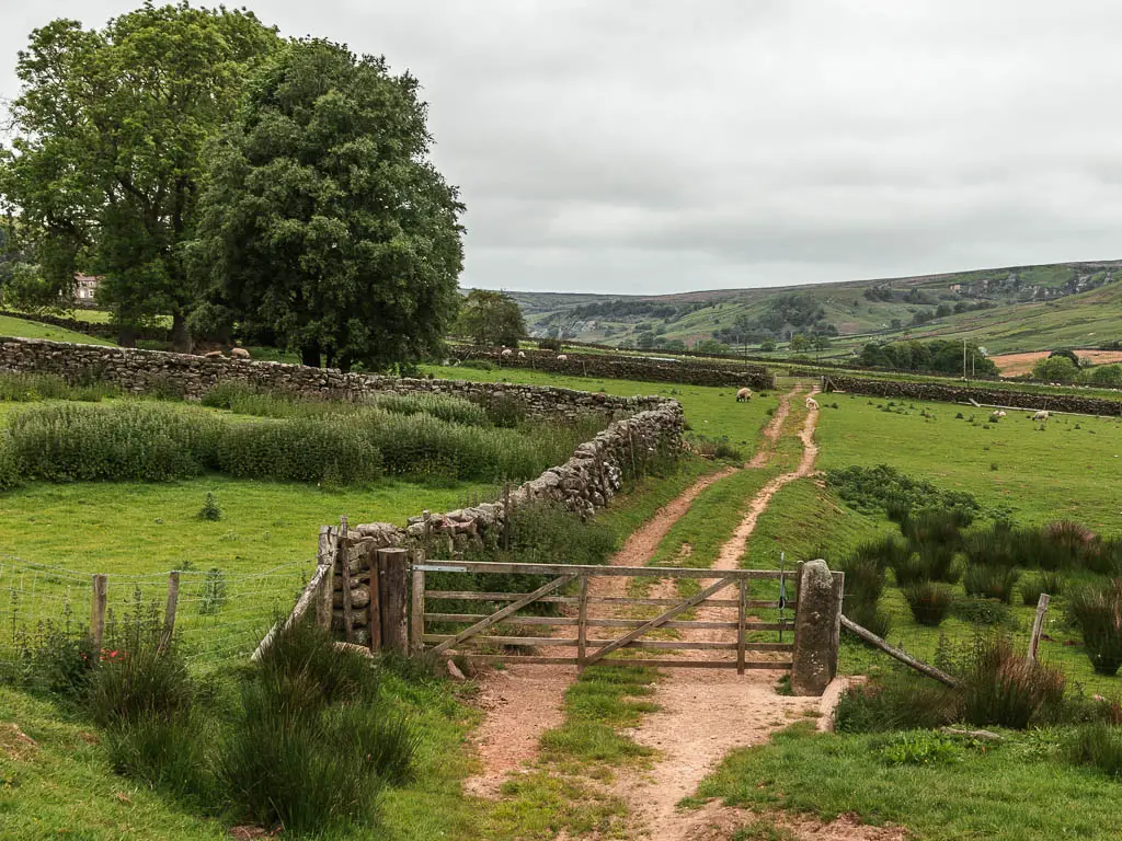 A wooden gate, leading to a track running across a grass field. There is a stone wall running along the left side of the field, and a big tree ahead to the left.