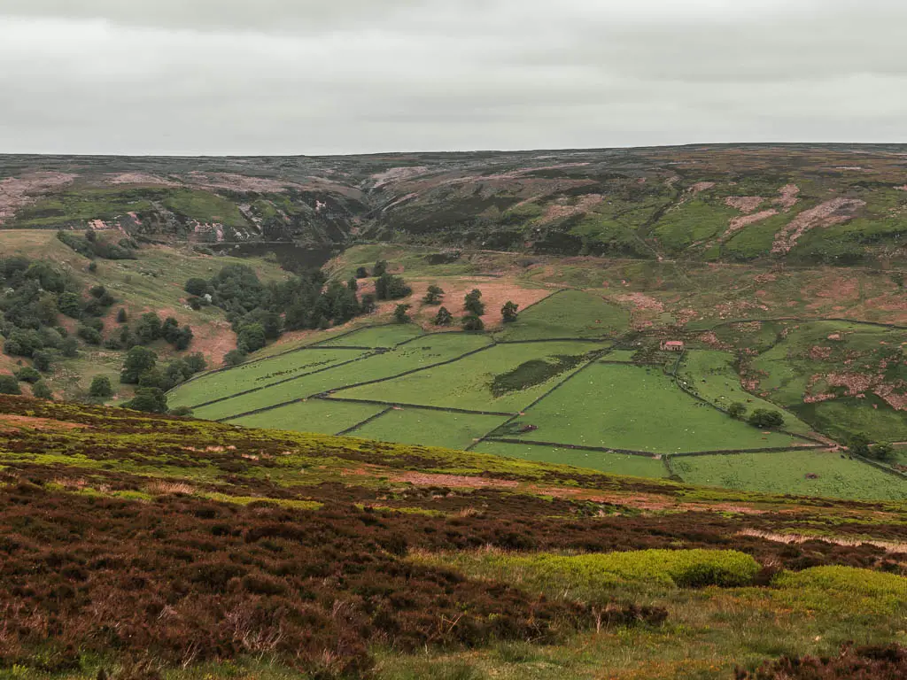 Looking down into the valley of patchwork fields, on the walk up to Blakey Ridge from Rosedale Abbey.