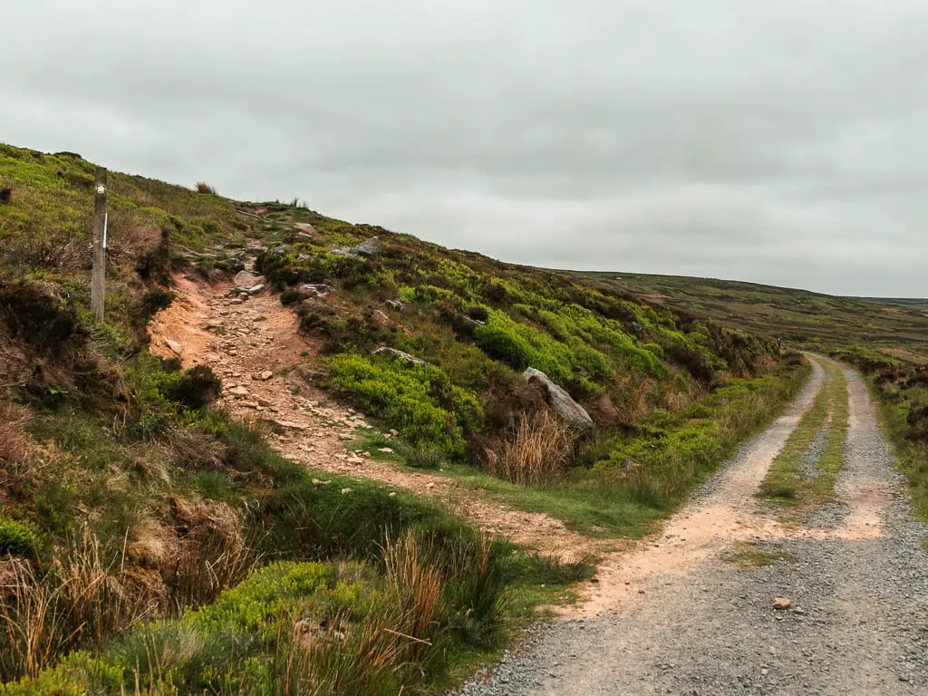 The Rosedale Railway path leading ahead to the right, with a rugged dirt trail leading up the hill to the left, on the walk up to Blakey Ridge.