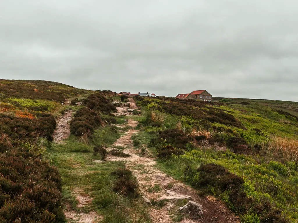 A rugged rocky path leading up through the heather moor, on the walk up to Blakey Ridge. There is a red roofed cottage visible at the top of the hill to the right.