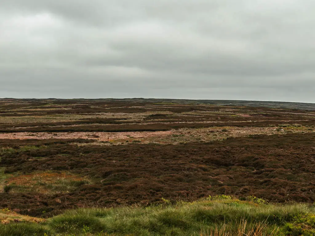 Looking across the vast brown heather moorland, after the walk to the top of Blakey Ridge.