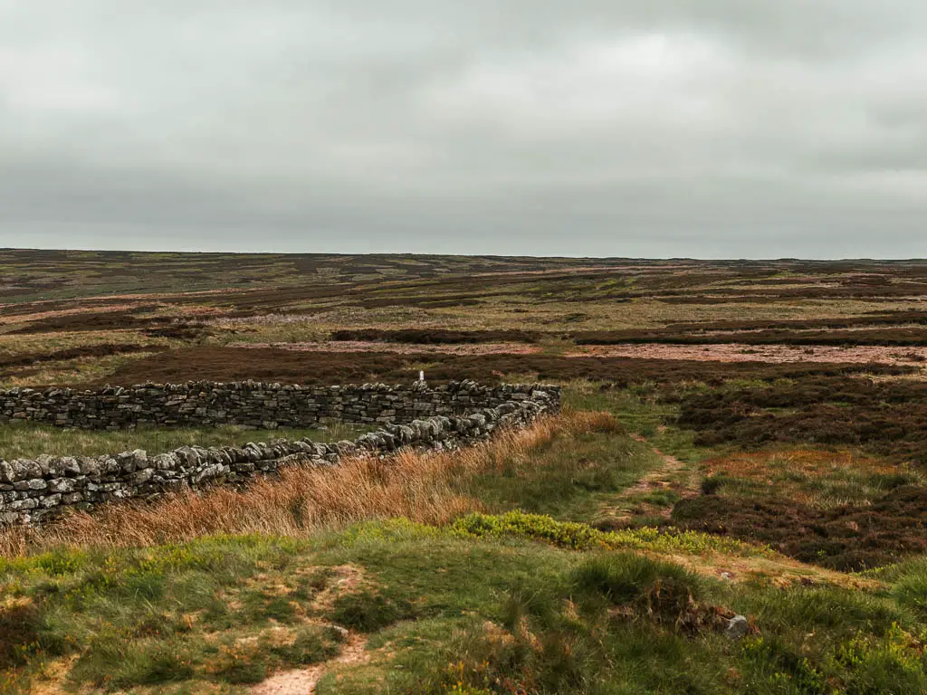 Looking across the vast moorland with brown heather. There is a stone wall to the left.