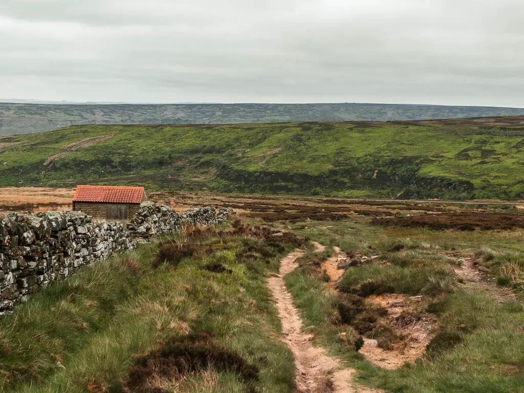 A rugged dirt trail leading through the moorland with overgrown grass, on the walk back towards Rosedale Abbey. There is a stone wall to the left, and a red roofed shed on the other side of the wall.