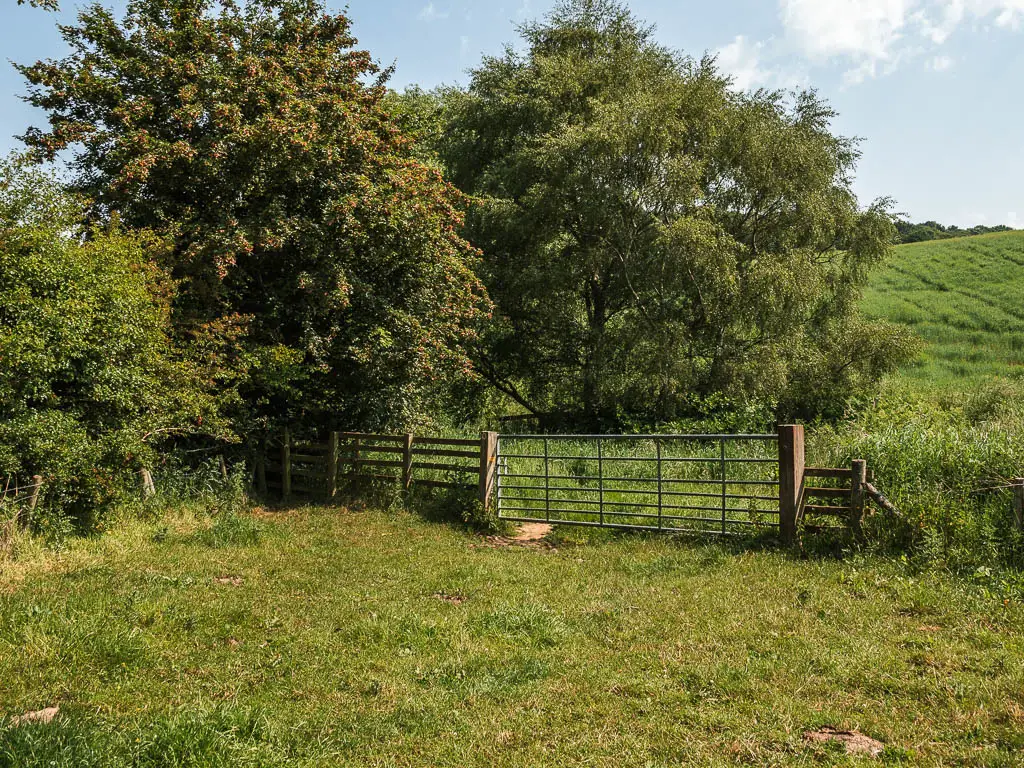 A metal gate at the end of the grass field, with big leafy green trees on the other side.