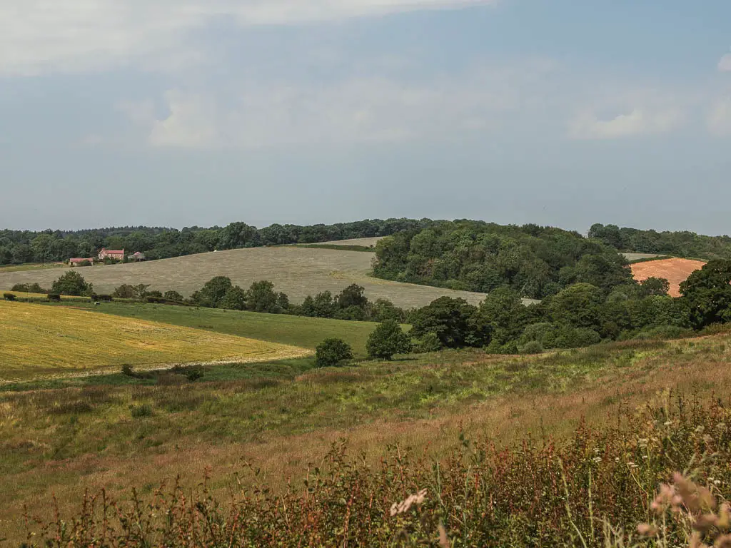 Looking down and across the undulating fields in different shades of green and yellow, on the Terrington circular walk. There are trees lining some of the fields.