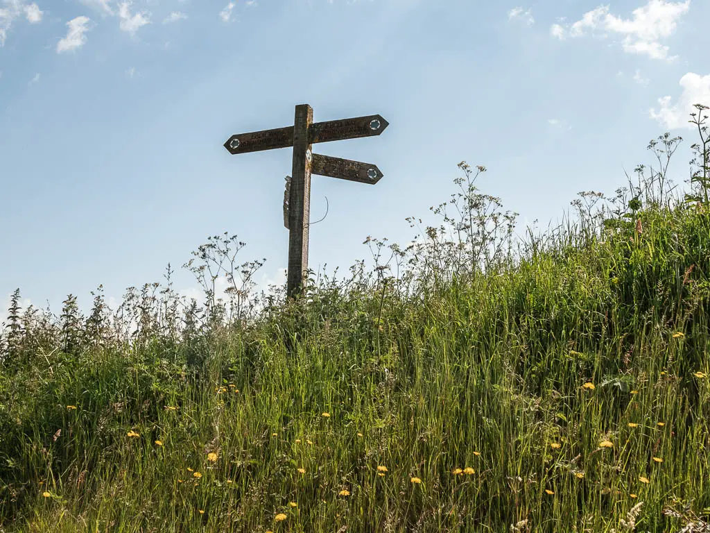 A wooden trail signpost up a small hill of tall grass, with a backdrop of blue sky.