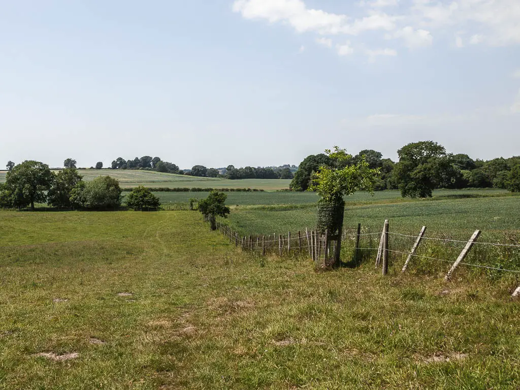 A large grass field, with a partially fallen down fence running straight across it, when walking back to Terrington. There are undulating fields in the distance, with a few trees dotted about.