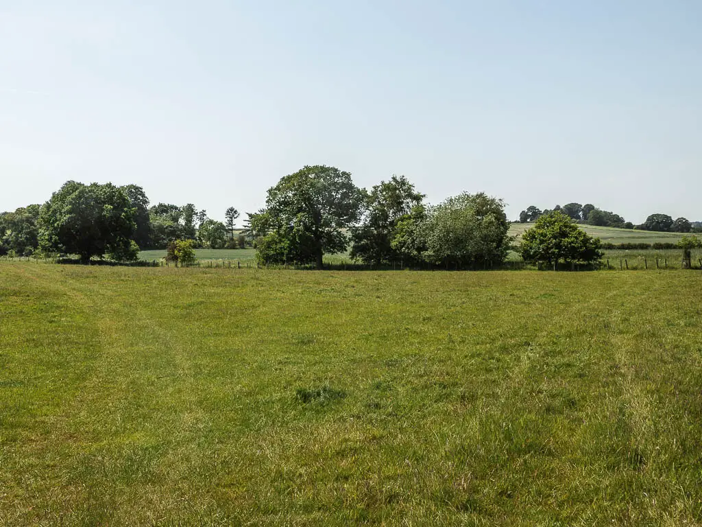 A large green grass field, with trail marks leading to the right and left. There are a few trees on the other side of the field.