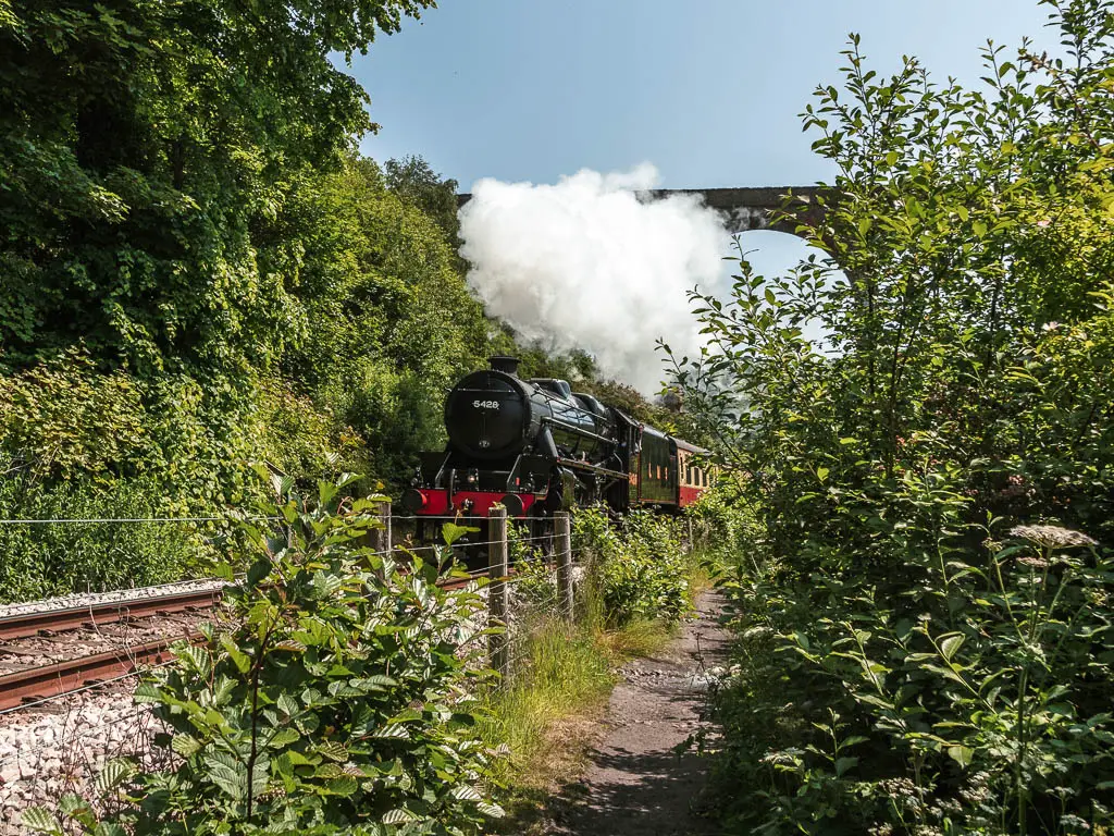 A black steam train with, a white cloud of steam shooting out the top, on the circular walk between Whitby and Robin Hood's Bay. There is a path leading along the right side of the railway track, and a wall of green bushes along the left side of the track.