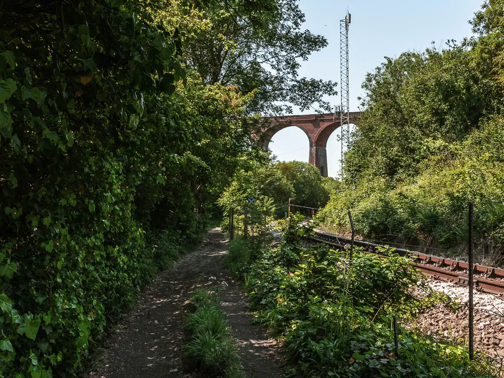 A dirt footpath leading straight ahead, with big bushes on the left, the railway track to the right, and a viaduct ahead.