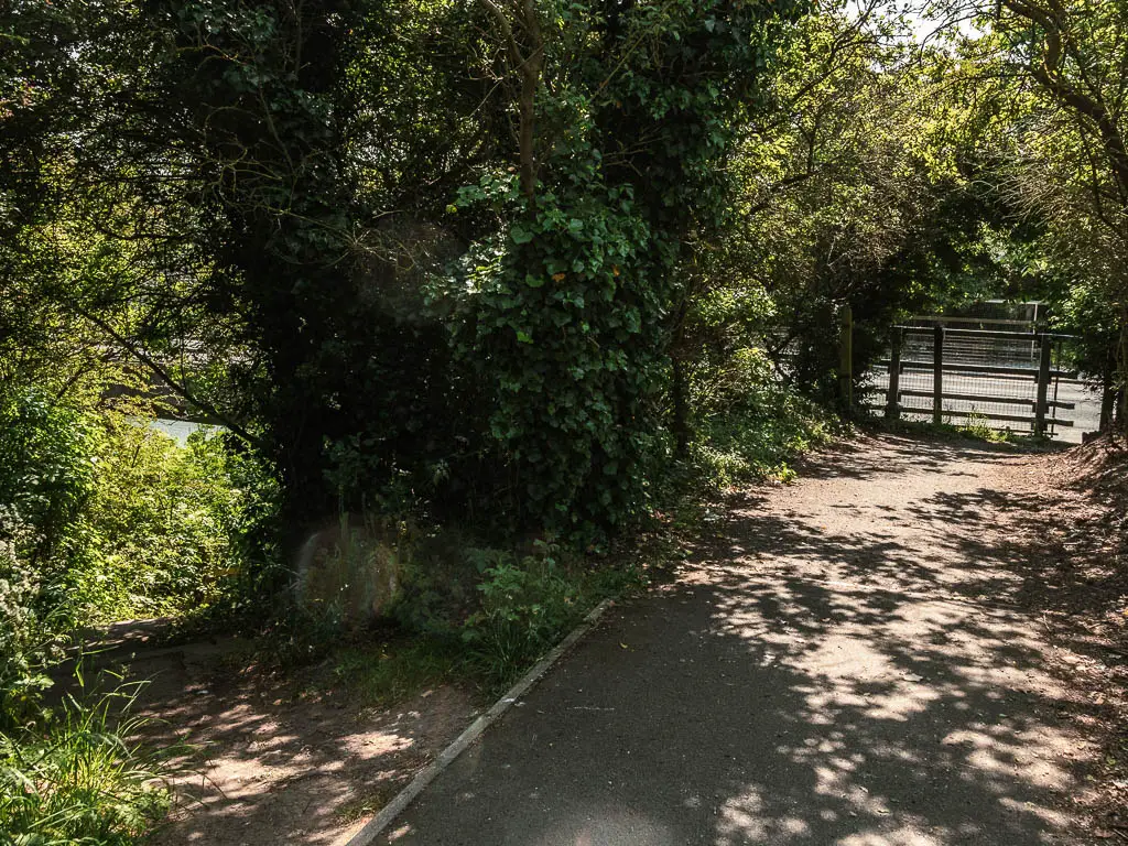 The main footpath leading to a gate and the road to the right, and a dirt trail leading off it to the left.