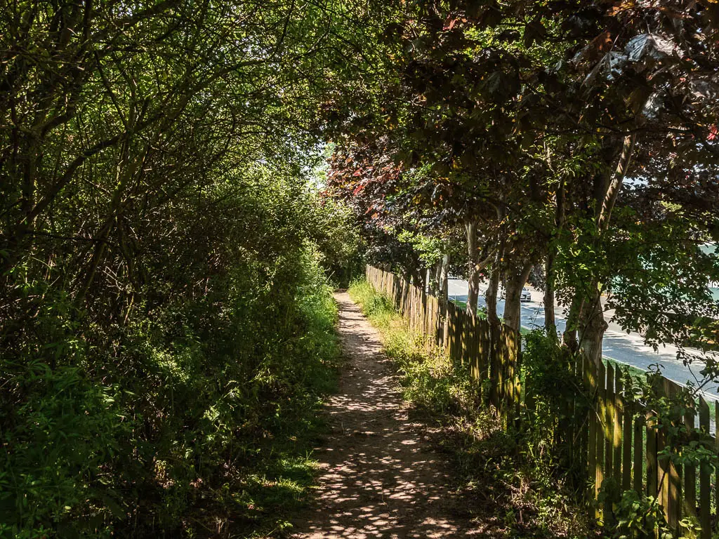 A narrow dirt footpath, lined with bushes to the left and some trees and a wooden fence to the right. 