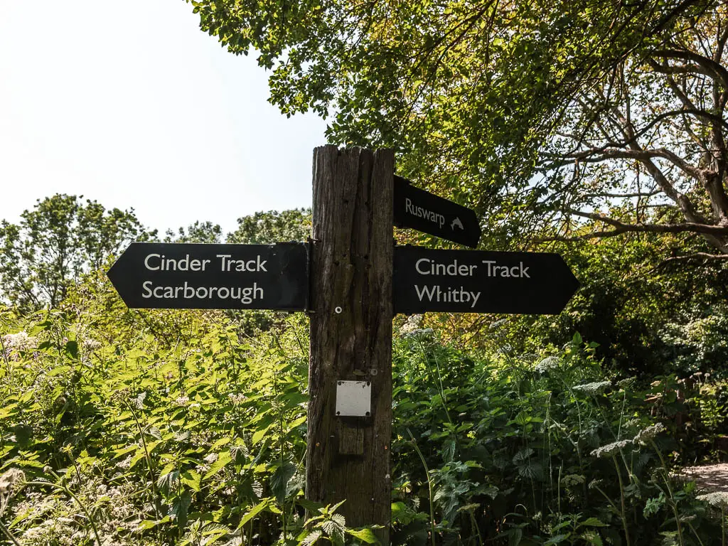 A wooden footpath sign, pointing left and right for the Cinder Track, on the walk back to Robin Hood's Bay from Whitby. The footpath sign sits in front of green bushes.