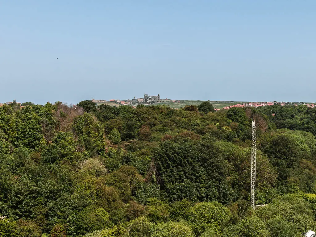 Looking over the green treetops, to the ruins of Whitby Abbey way in the distance.