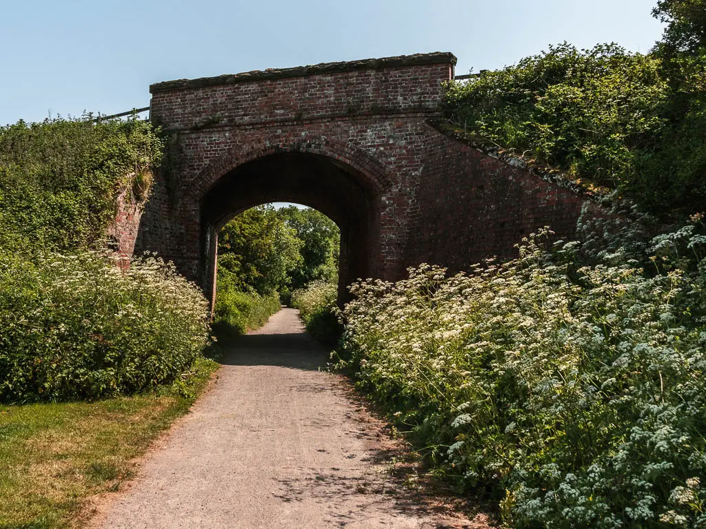 the Cinder track leading through a bridge archway. The track is lined with white flowers bushes.