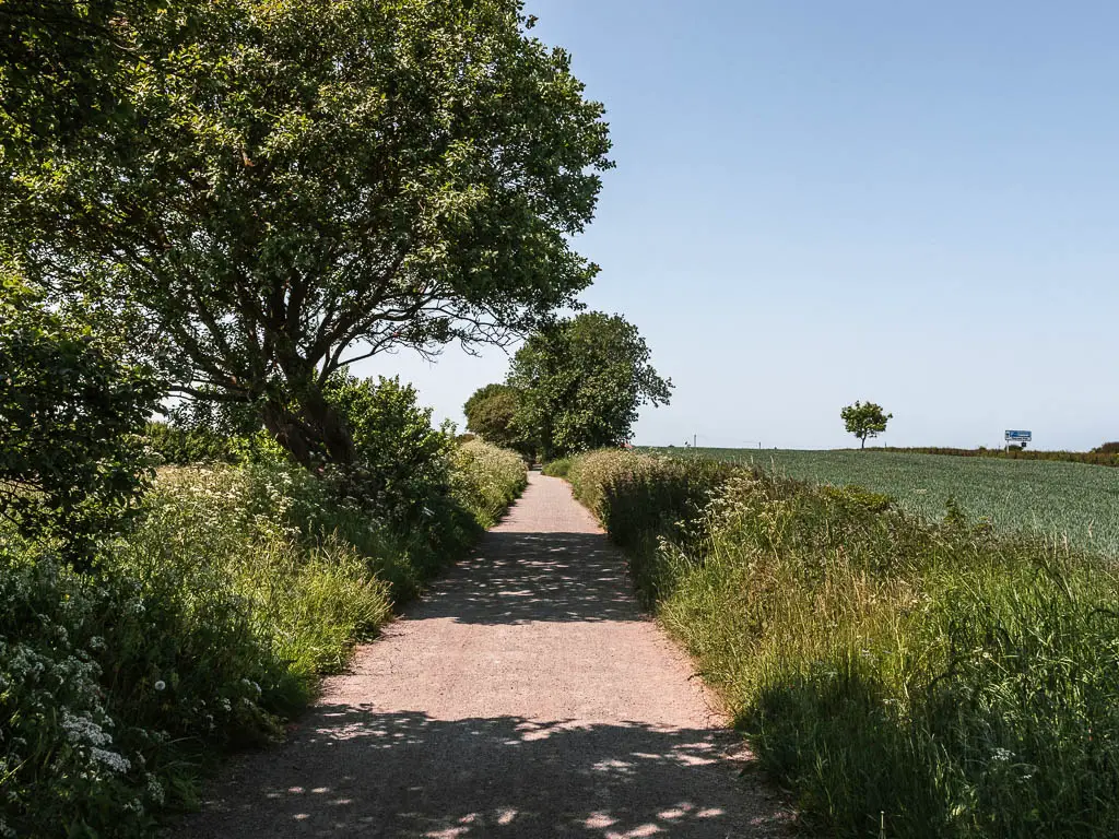 The Cinder Track path leading straight ahead, with a field to the right, and bushes and trees to the left.