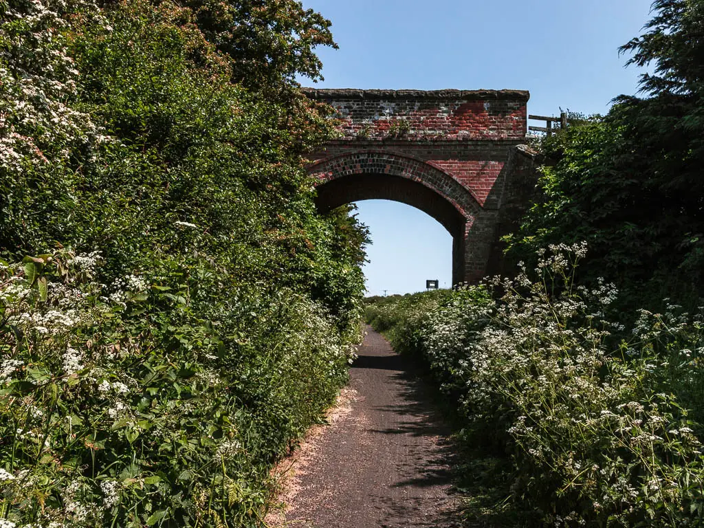 The cinder track leading through a bridge arch, on the walk back to Robin Hood's Bay from Whitby. The path is lined with bushes.